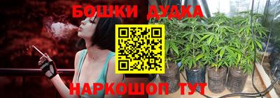 mdpv Лесосибирск