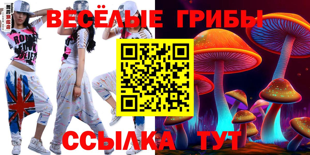Элиста  Псилоцибиновые грибы Magic Shrooms  Вход с VPN 